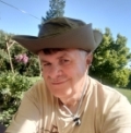 Obrazek
