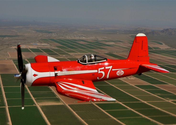 af8d55ffa25da5354e335f6599e42a1c--red-dog-air-planes.jpg