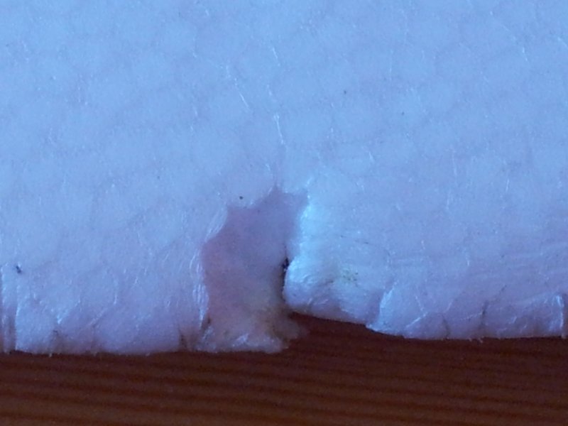 2013-08-15 10.02.24.jpg