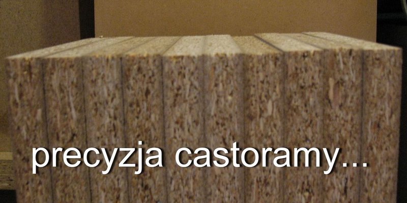 precyzja castoramy.jpg