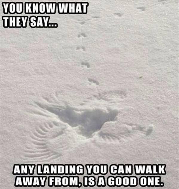 landing.jpg