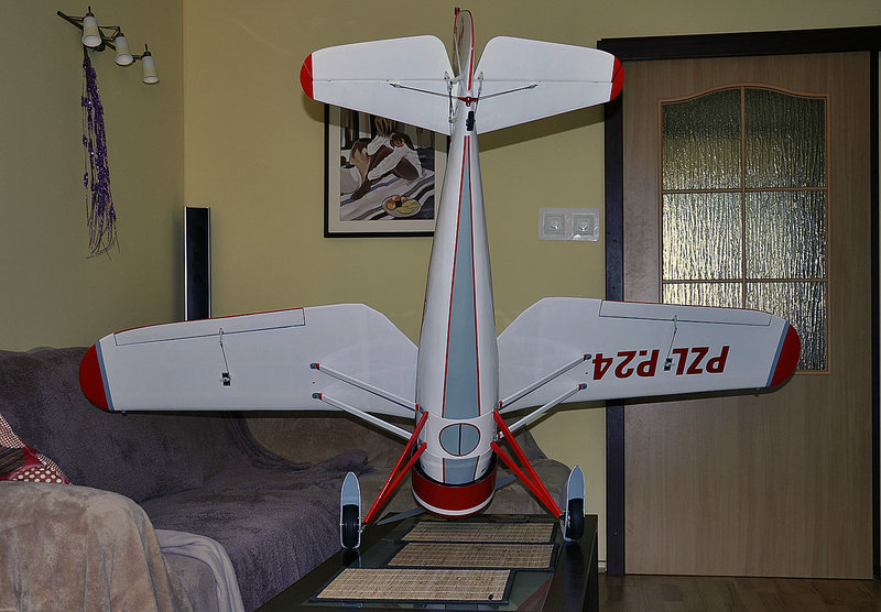 PZL24_20m.jpg