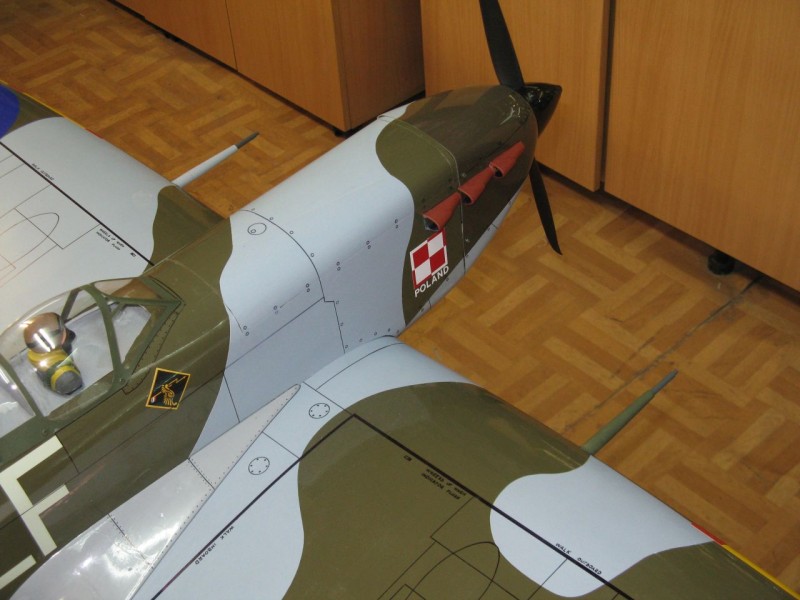 obraz 923.jpg
