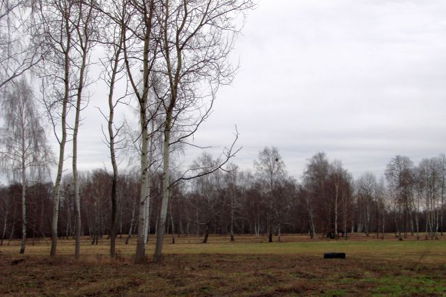 DSC00366.JPG