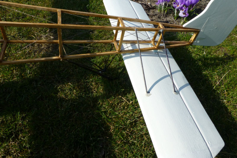 P1020828a.jpg