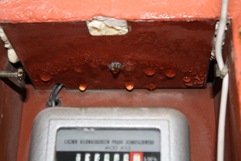 foto_ 013.jpg
