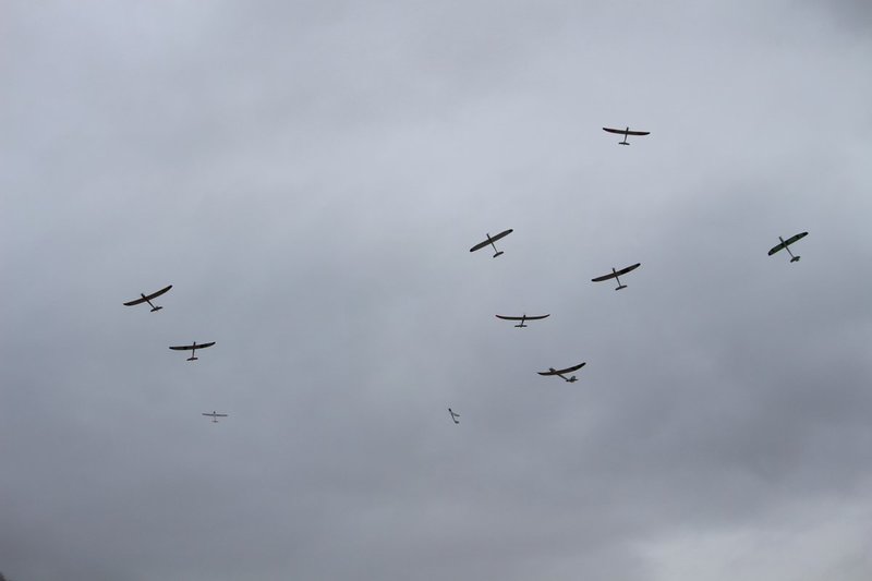 IMG_4654.JPG