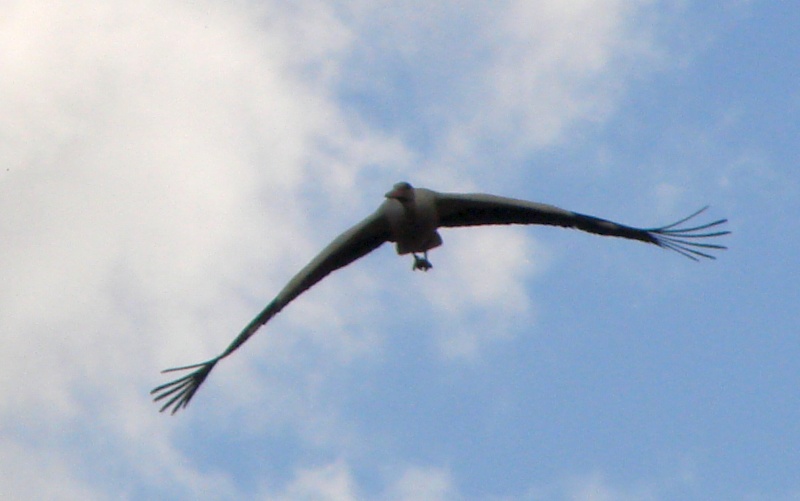 DSC00354.JPG