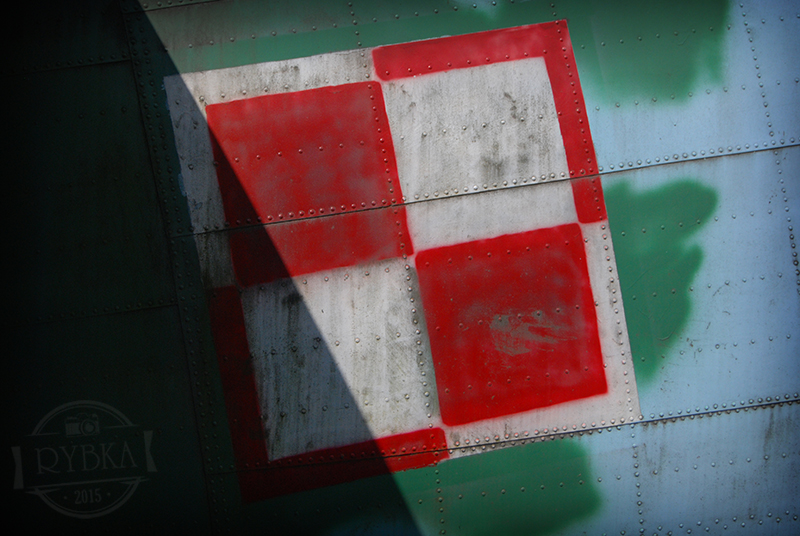 DSC_0879.jpg