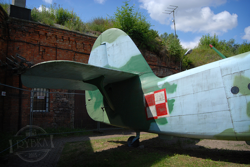 DSC_0880.jpg