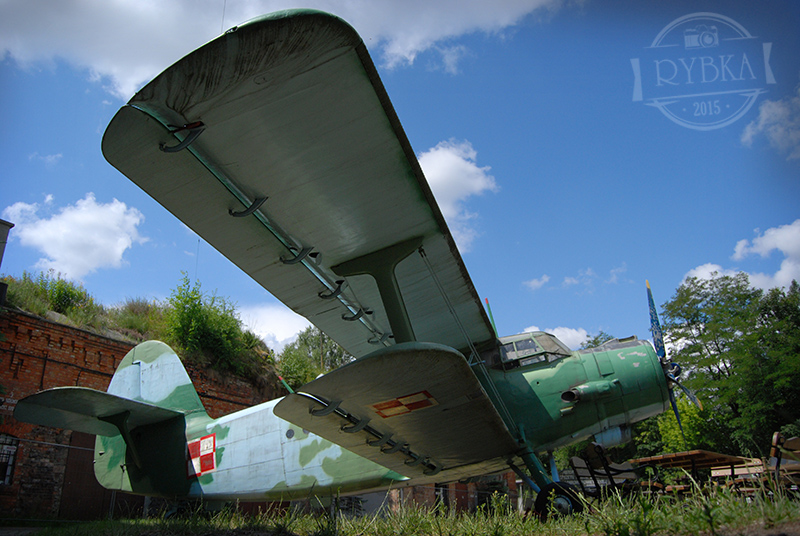 DSC_0893.jpg