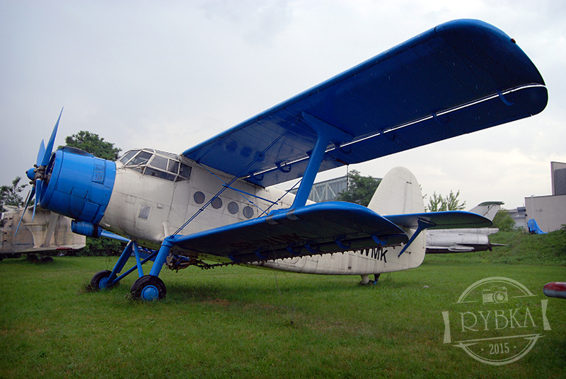 DSC_0308.jpg