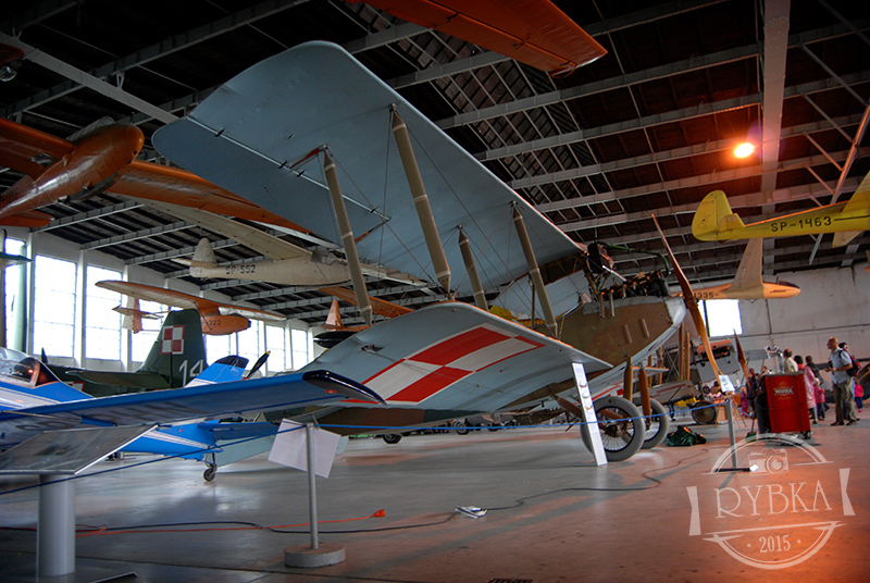 DSC_0162.jpg