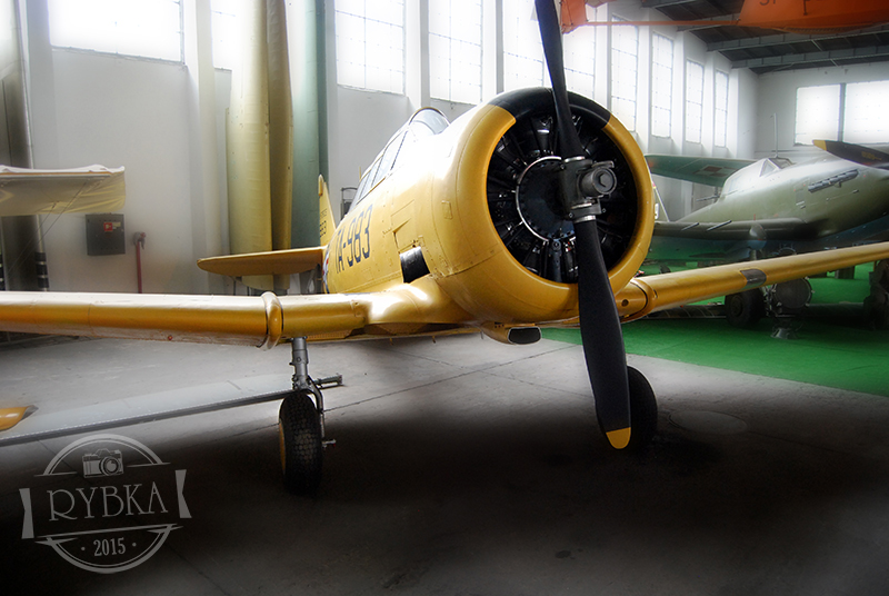 DSC_0186.jpg