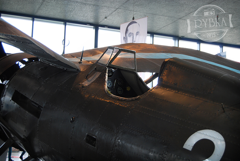 DSC_0257.jpg