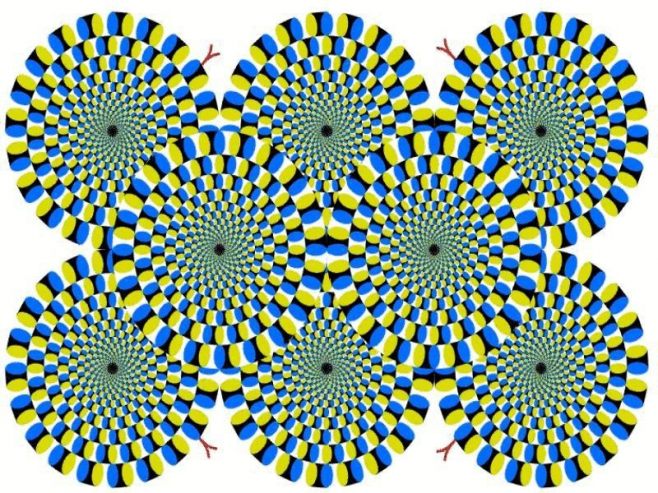 635717886541971431.jpg