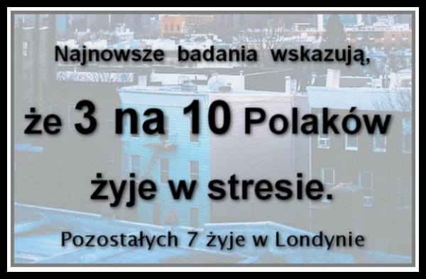 Stres.jpg