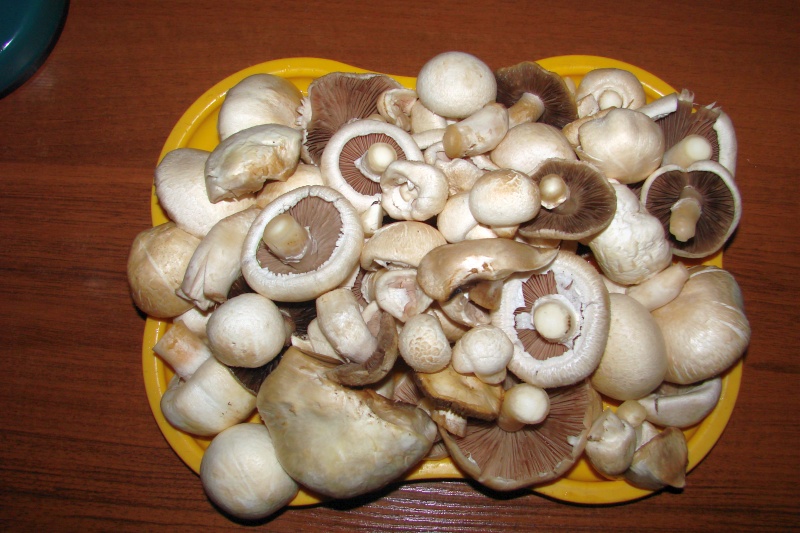 DSC00140.jpg