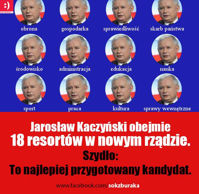 kaczka renesansu.jpg
