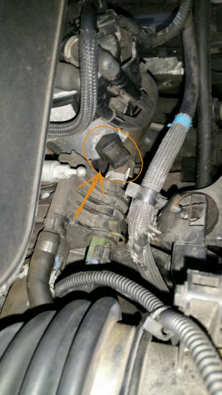 2016-01-09 14.51.27.jpg