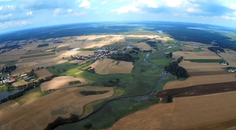 Konarzyny07.jpg