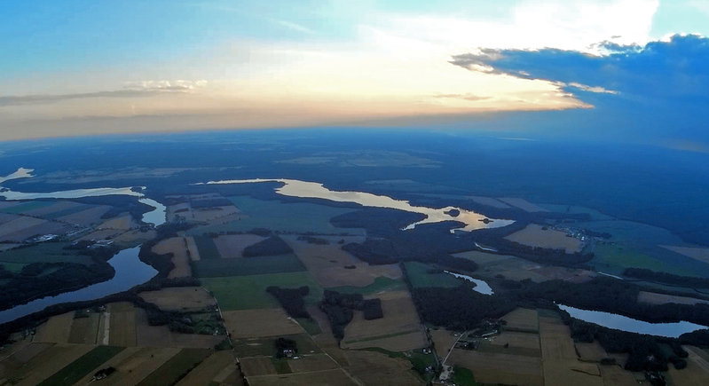 Konarzyny09.jpg