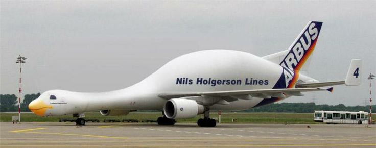Airbus 2.jpg
