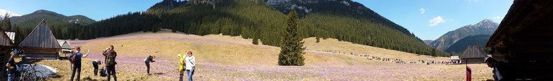 20170402_122057.jpg