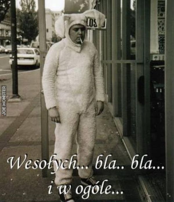 01_mokrego_jajka.jpg