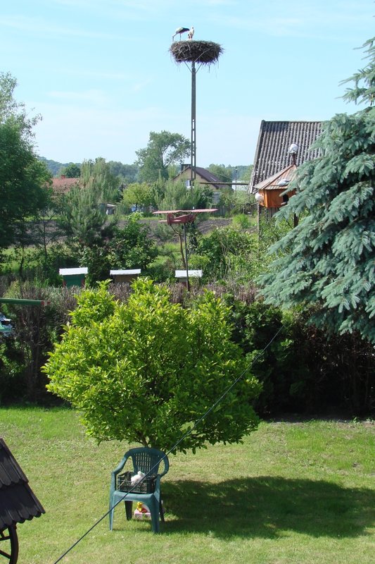 DSC00426.jpg