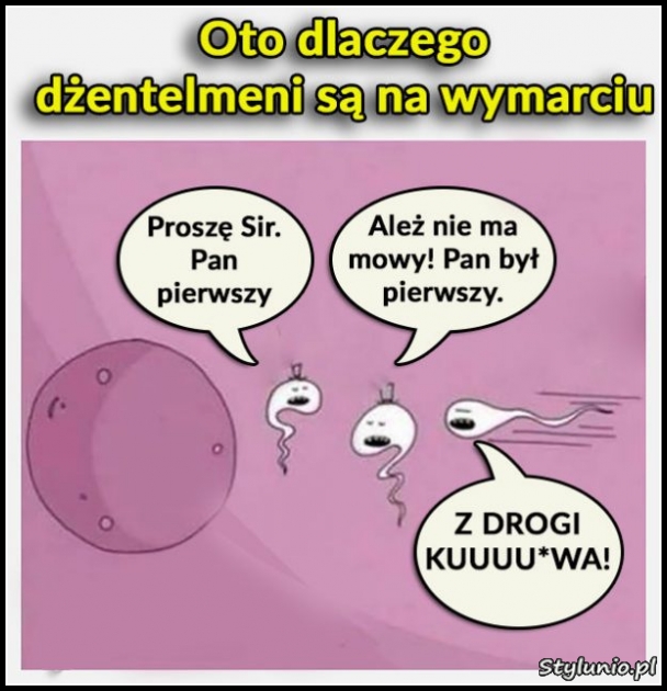 dlaczego_dzentelmeni_sa_na_wymarciu.jpg