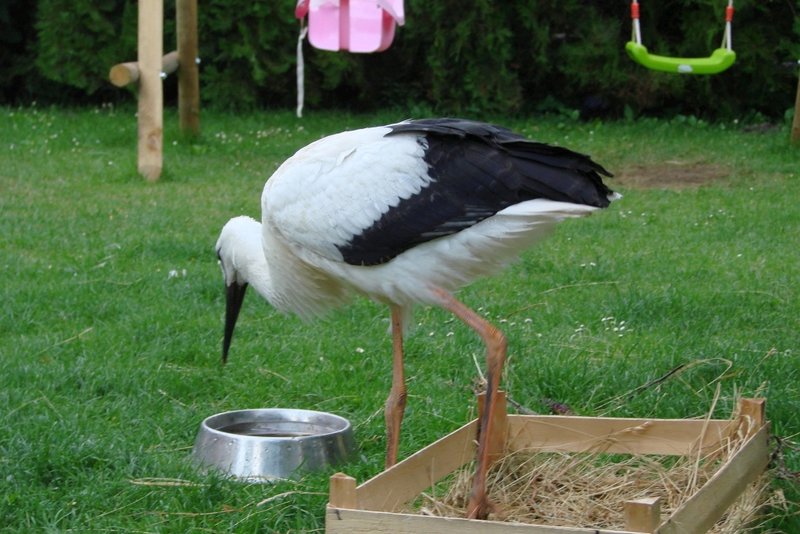 DSC00005.jpg