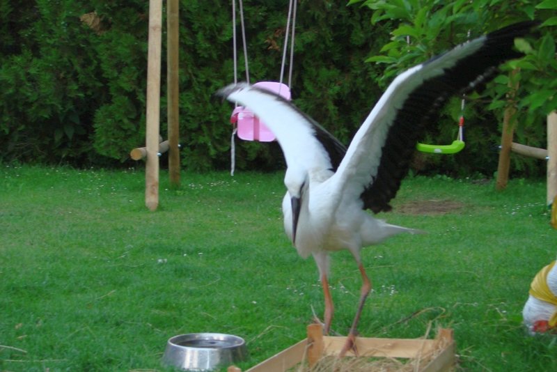 DSC00008.jpg
