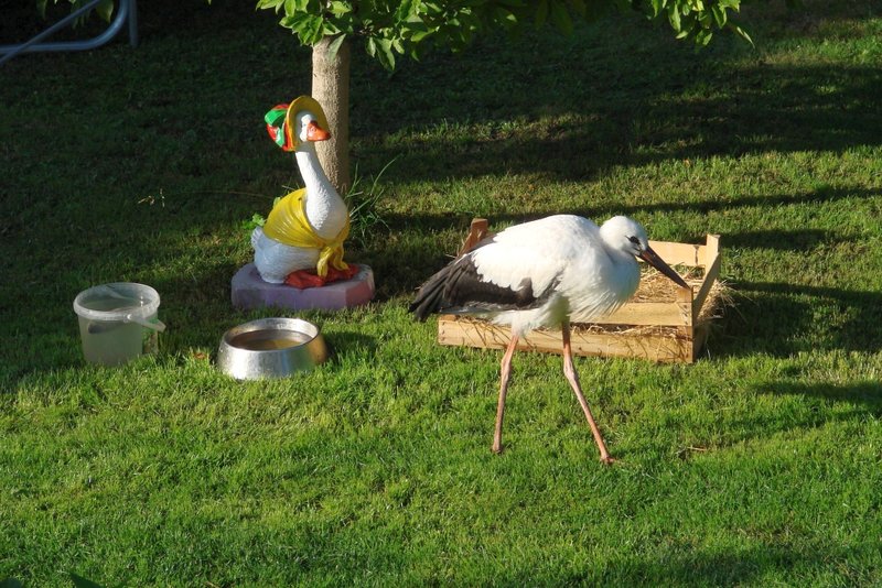 DSC00084.jpg