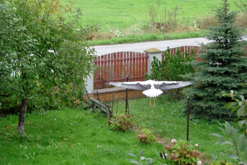 DSC00362.jpg