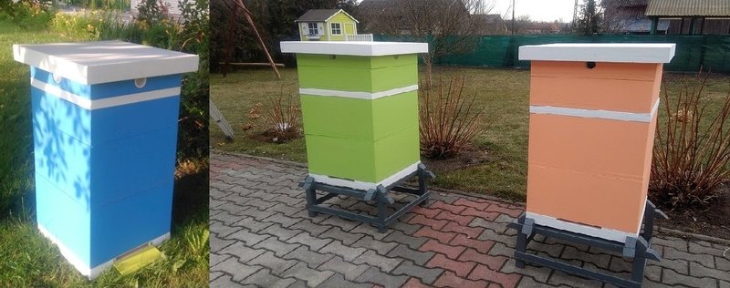 IMG_20170623_185445.jpg