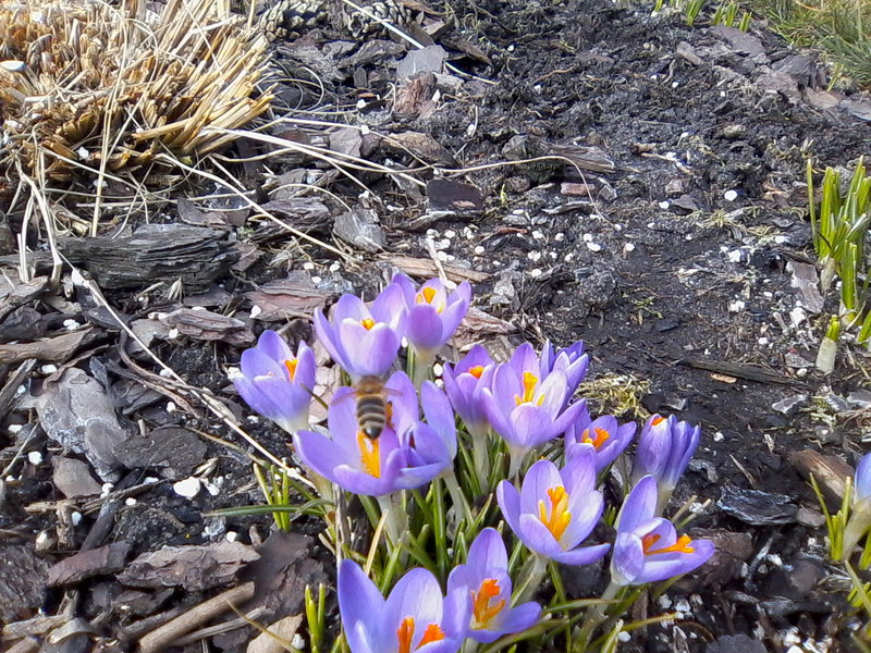 IMG0023A.jpg