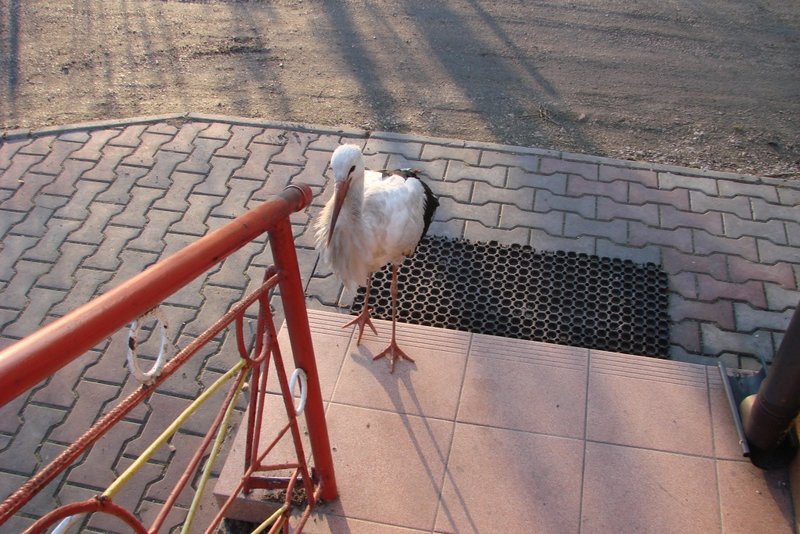 DSC00001.JPG