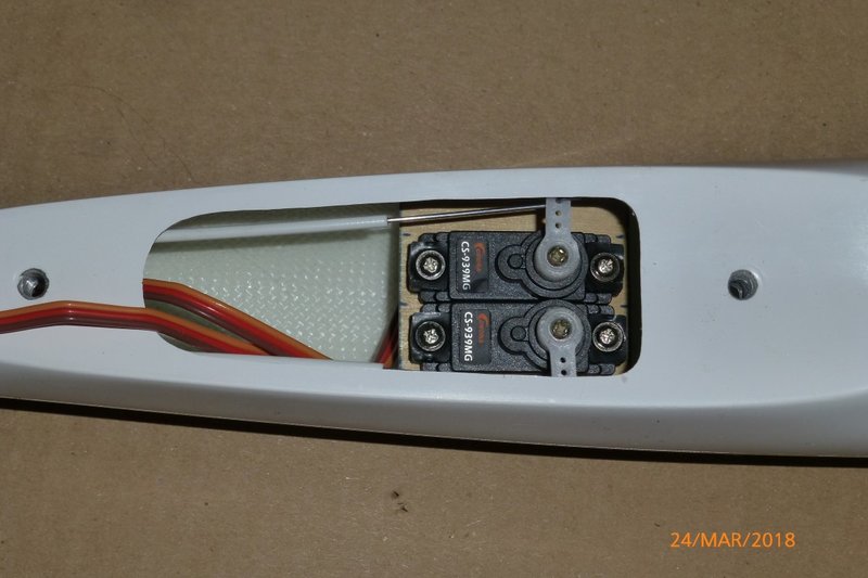 P1090076 (Medium).JPG