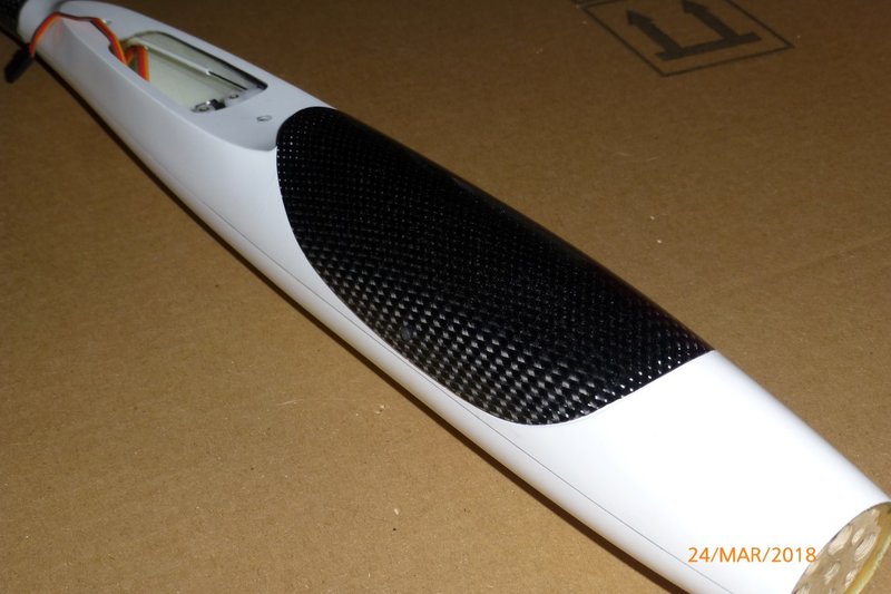 P1090084 (Medium).JPG