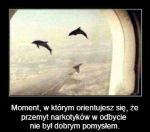 LSD.jpg
