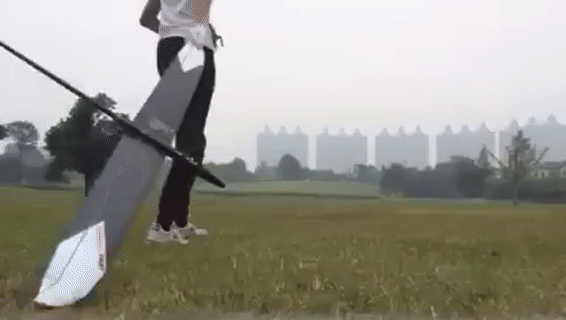 DLG.gif