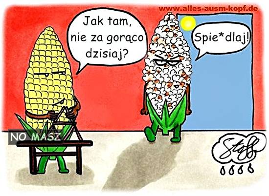 upał.jpg