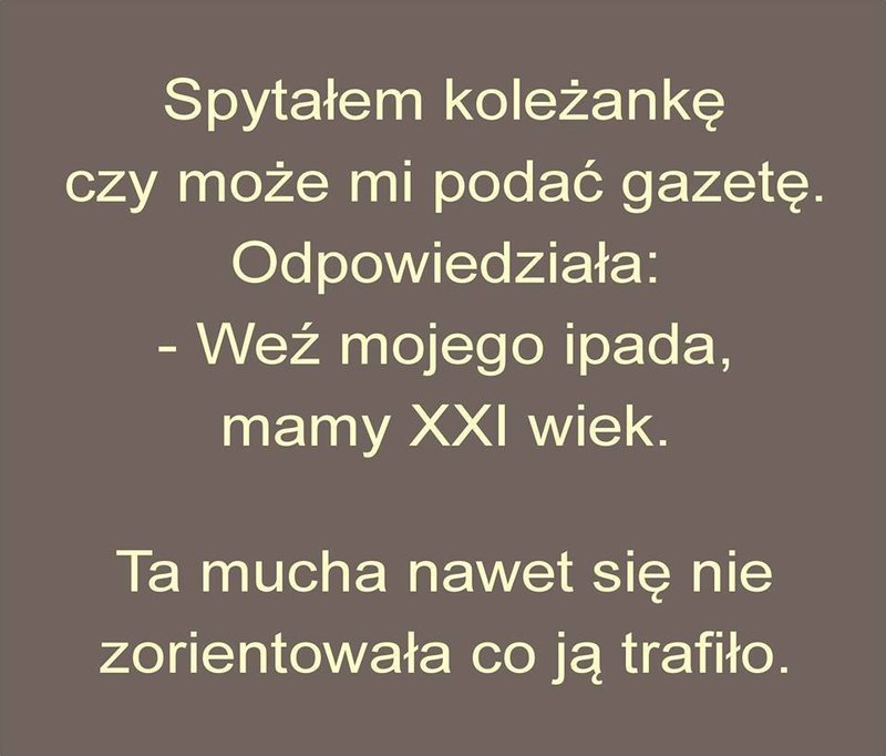 gazeta.jpg