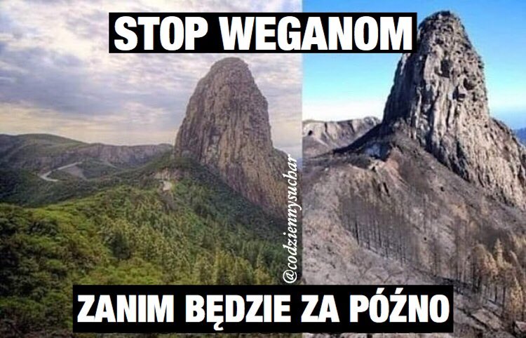 Weganie.jpg