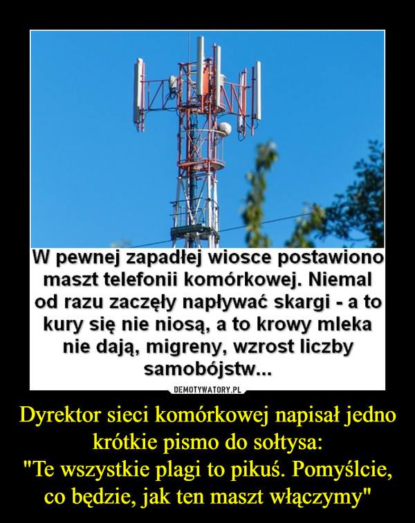 maszt.jpg