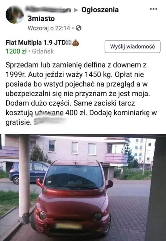 delfin.jpg