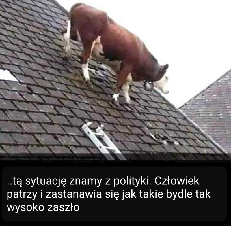 bydle.jpg
