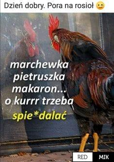 016b9e6ef03da8a1783cb26c4dc1b6834427.jpg