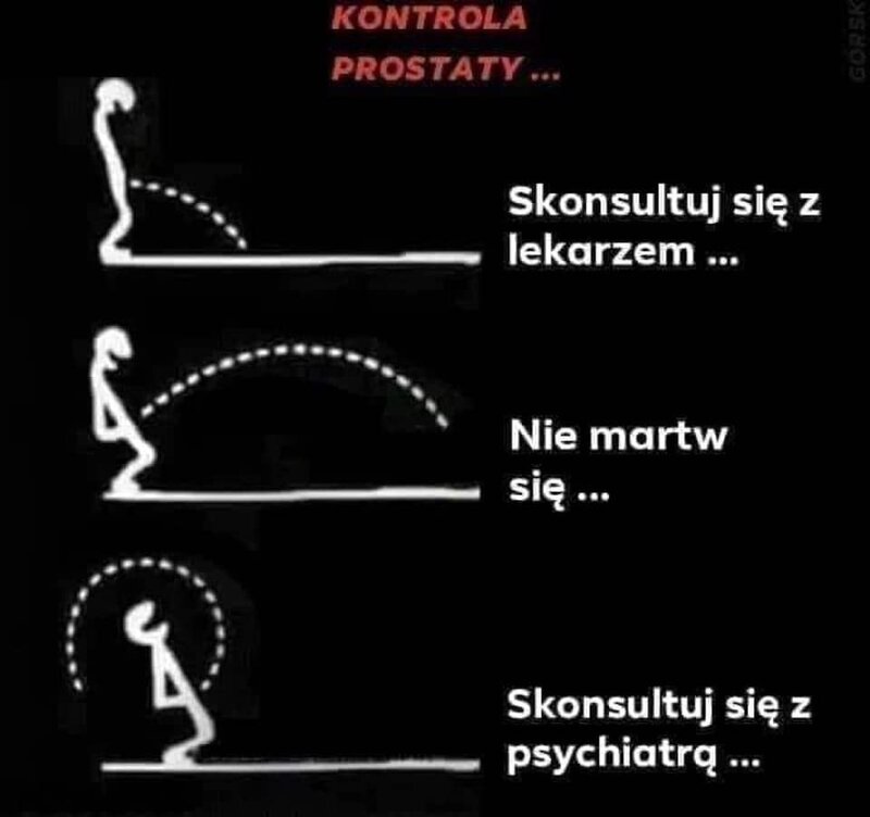 prostata.jpg
